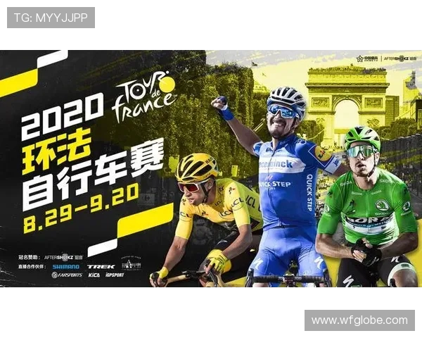 体育迷对体育赛事衍生品忠诚度